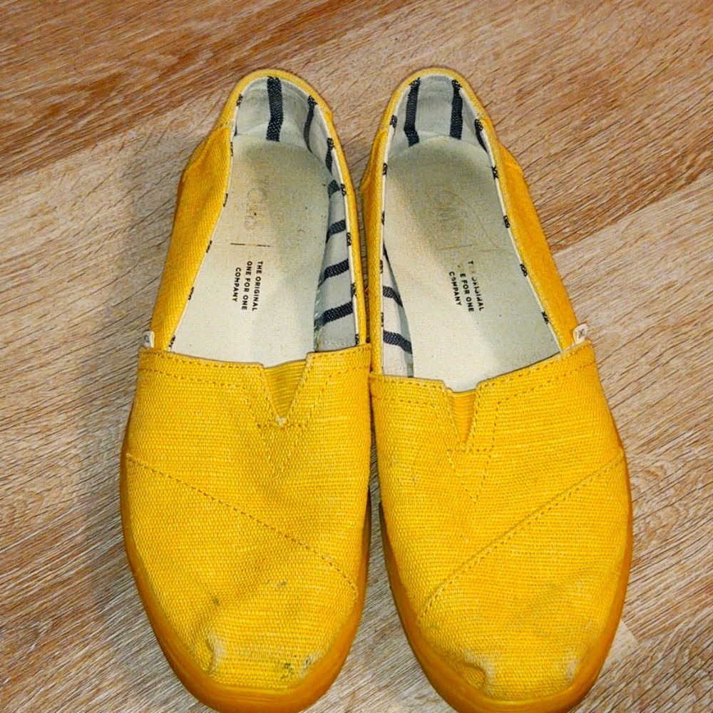 Yellow toms